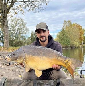 Mirror Carp