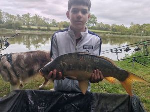 Mirror Carp