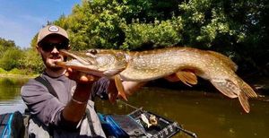 Northern Pike