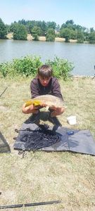 Mirror Carp