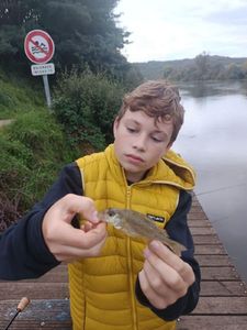 Ruffe