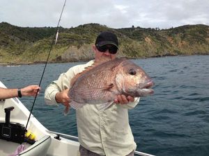 Snapper (Squirefish)