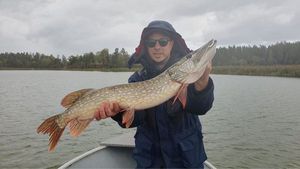 Northern Pike
