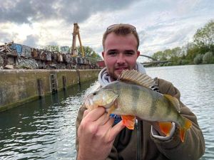 European Perch