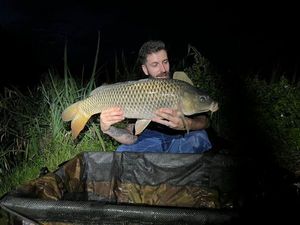 Common Carp