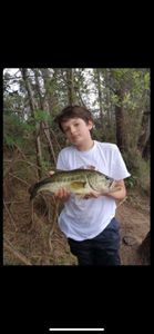 Smallmouth Bass
