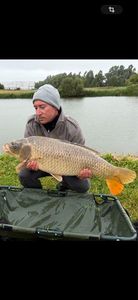 Common Carp