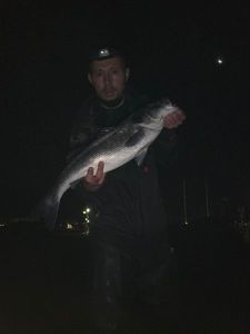 European Bass (Seabass)