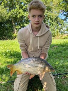 Common Carp