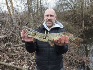 Northern Pike