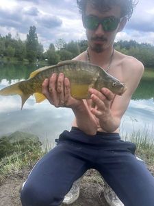 Leather Carp