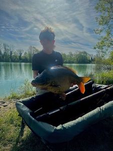 Mirror Carp