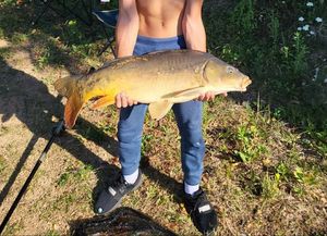 Leather Carp