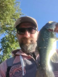 Largemouth Bass