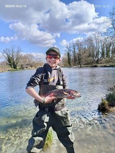 Rainbow Trout