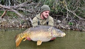 Mirror Carp
