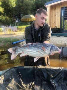 Koï Fish