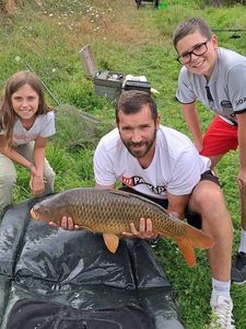 Common Carp