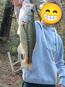 Largemouth Bass