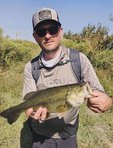 Largemouth Bass