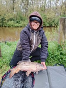 Common Carp