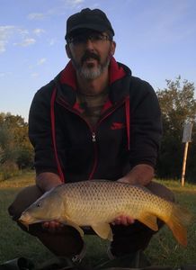 Common Carp