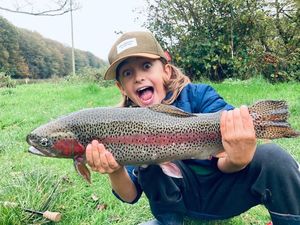 Rainbow Trout
