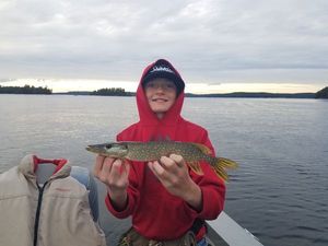 Northern Pike
