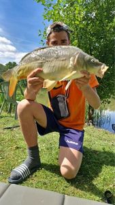 Leather Carp