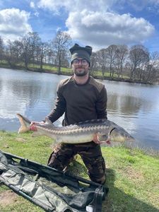 Sturgeon
