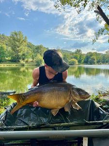 Mirror Carp
