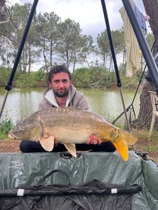 Leather Carp
