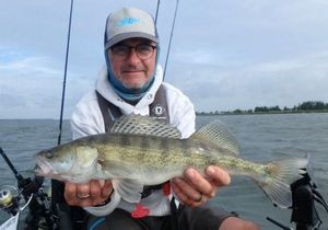 Zander