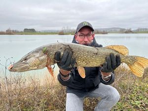 Northern Pike