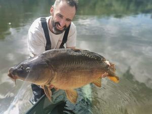 Mirror Carp