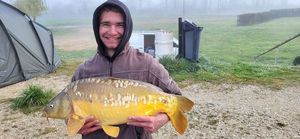 Mirror Carp