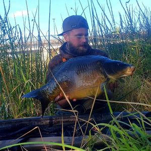 Mirror Carp