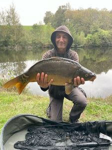 Mirror Carp