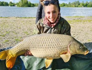 Common Carp