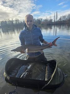 Sturgeon