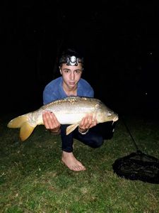 Mirror Carp