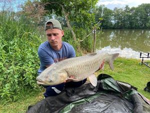 Grass Carp