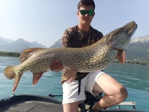 Northern Pike