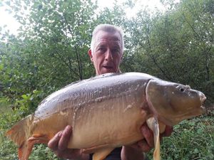 Mirror Carp