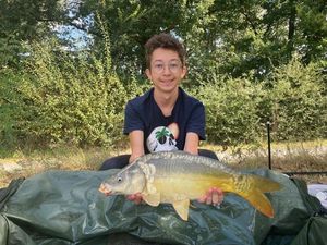 Mirror Carp