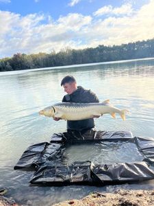 Sturgeon