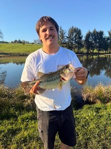 Largemouth Bass