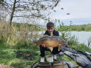 Mirror Carp