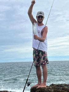 Talang Queenfish