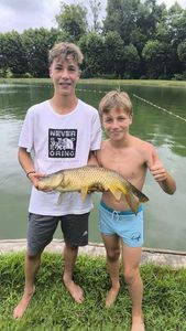 Common Carp
